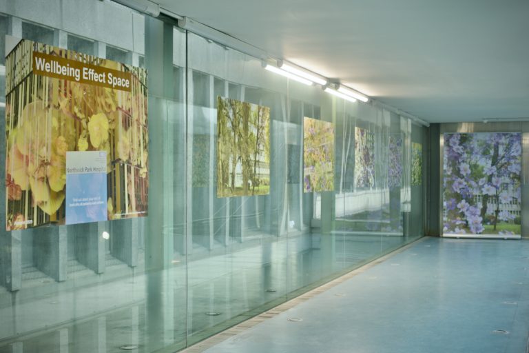 Wellbeing Effect Space Side Wall