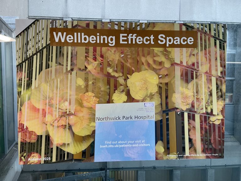 Wellbeing Effect Space Poster