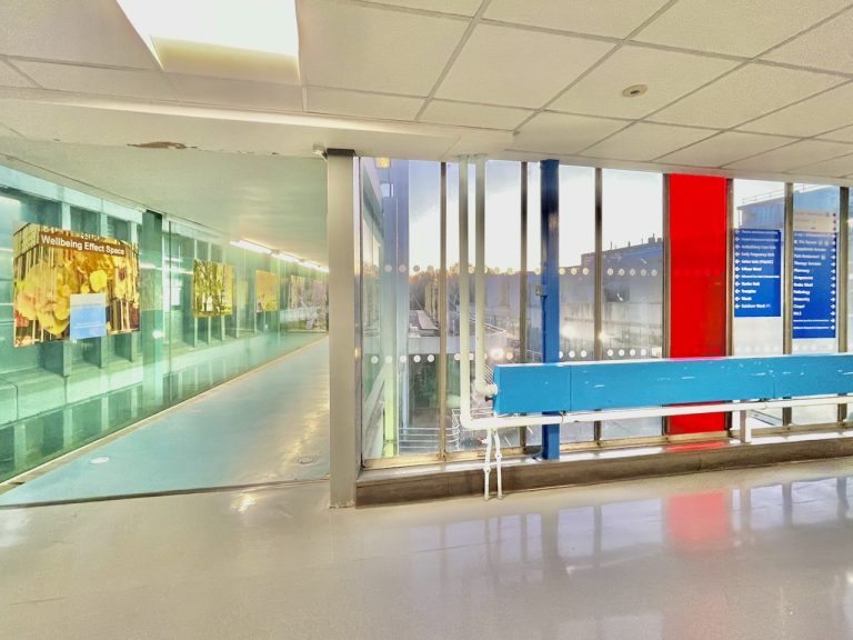 Wellbeing Effect Space Entrance